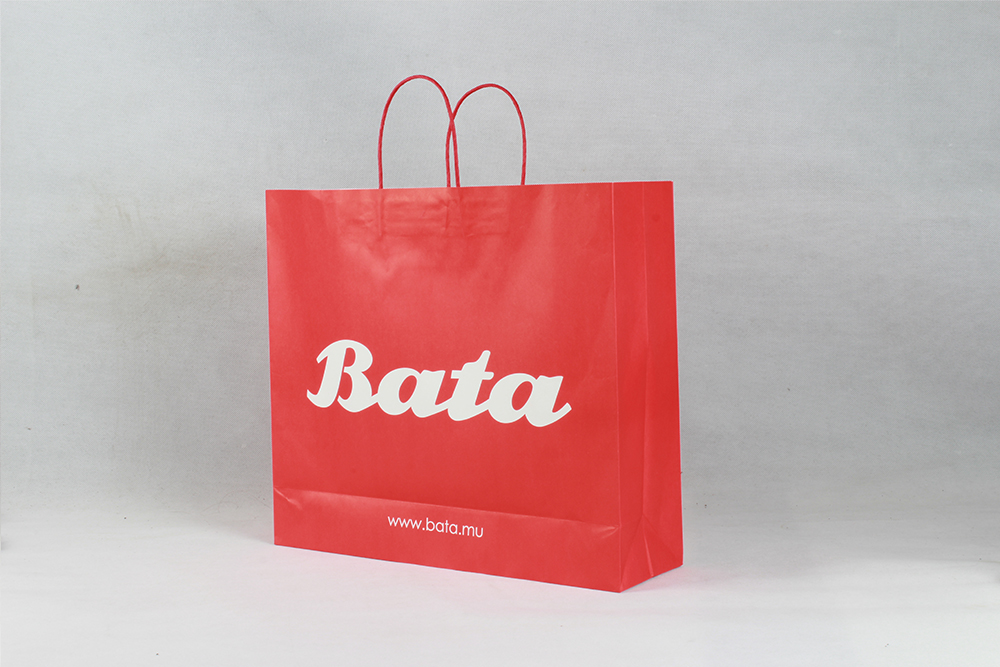 簡(jiǎn)約型牛皮紙袋 Bata